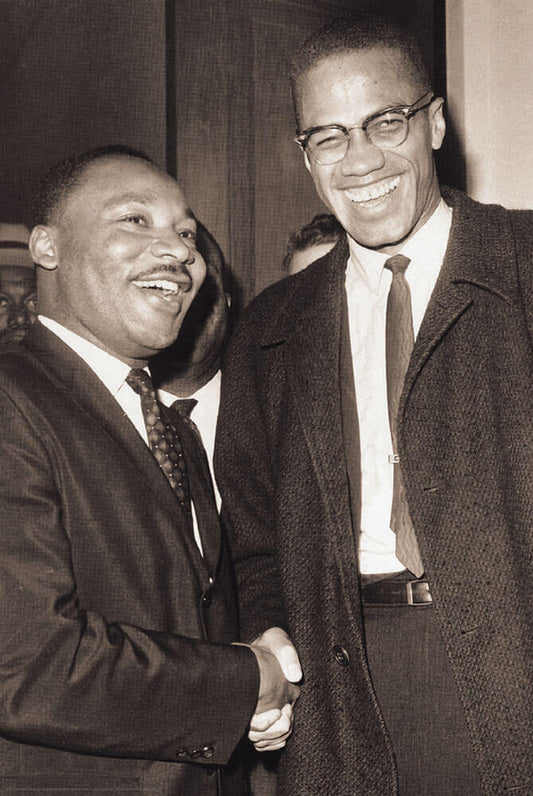 The Meeting - Malcolm X & MLK Poster 24.5" X 36.5" Laminated